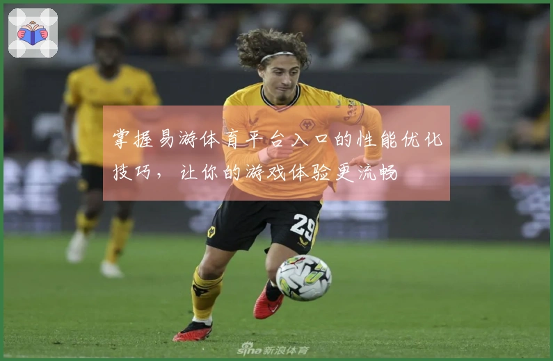 掌握易游体育平台入口的性能优化技巧，让你的游戏体验更流畅
