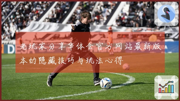 老玩家分享华体会官方网站最新版本的隐藏技巧与玩法心得